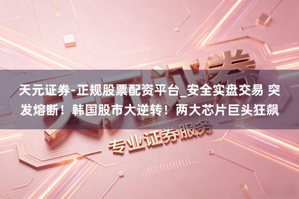 天元证券-正规股票配资平台_安全实盘交易 突发熔断！韩国股市大逆转！两大芯片巨头狂飙
