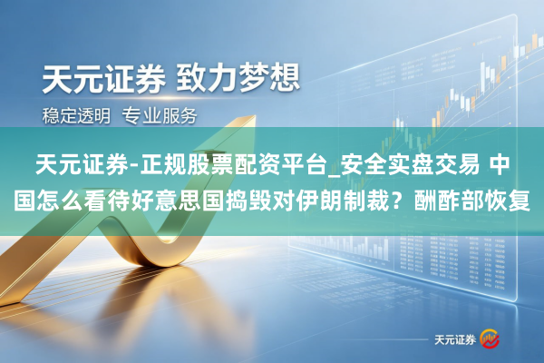 天元证券-正规股票配资平台_安全实盘交易 中国怎么看待好意思国捣毁对伊朗制裁？酬酢部恢复